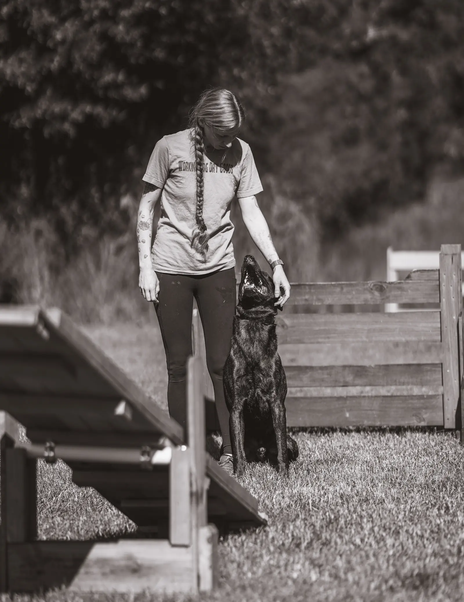 Pet sitting and in-home animal care 10